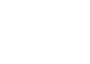 Novelty &amp; Things